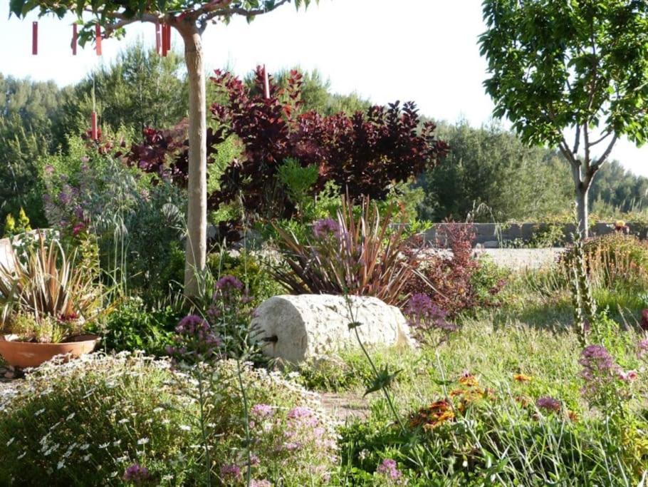 L'Oustaou Dorey Saint-Cyr-sur-Mer Extérieur photo